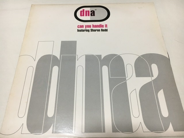 DNA feat SHARON REDD CAN YOU HANDLE IT 12inch シャロン レッド E-SMOOVE N.DAVIDGE拍卖