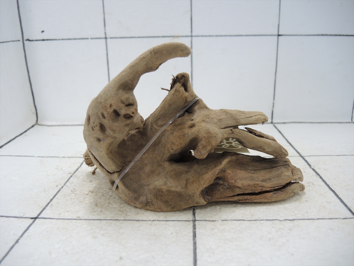 *iwoya*プレミアム流木5618拍卖