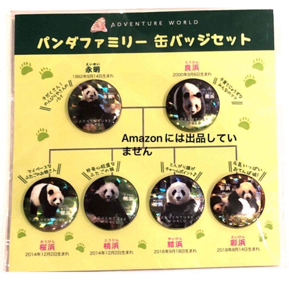 ☆激レア☆アドベンチャーワールド パンダファミリーミニ缶バッジセット ホログラム 永明 良浜 桜浜 桃浜 結浜 彩浜 浜家拍卖