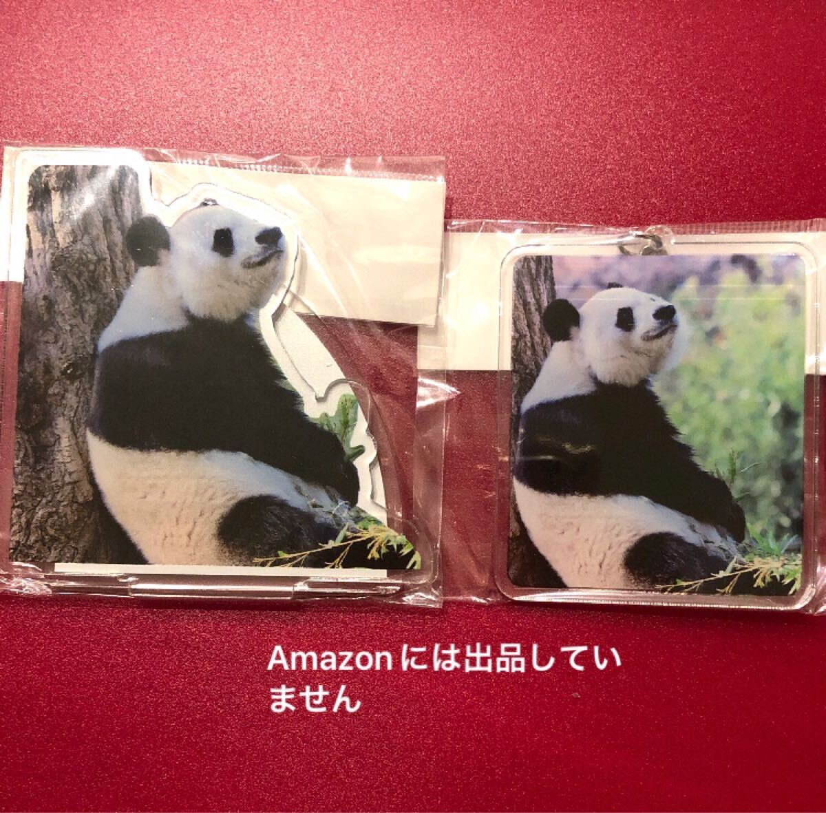 たそがれタンタン アクリルキーホルダー アクリルスタンド 王子動物園 ジャイアントパンダ拍卖