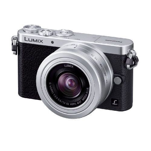 中古 1年保証 美品 Panasonic LUMIX DMC-GM1 標準レンズキット シルバー拍卖