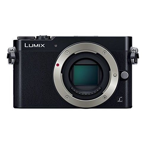 中古 1年保証 美品 Panasonic LUMIX DMC-GM5 ボディ ブラック拍卖