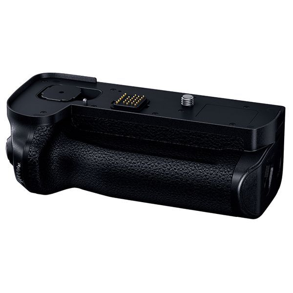 中古 1年保証 美品 Panasonic DMW-BGS1 (Lumix DC-S1 / DC-S1R / DC-S1H用)拍卖
