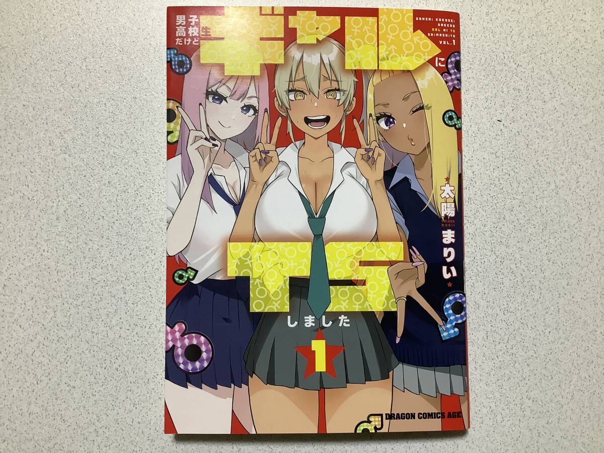 【初版本・極美品】男子高校生だけどギャルにTSしました 1巻 転生 ファンタジー セクシー ちょいエロ コメディ 拍卖