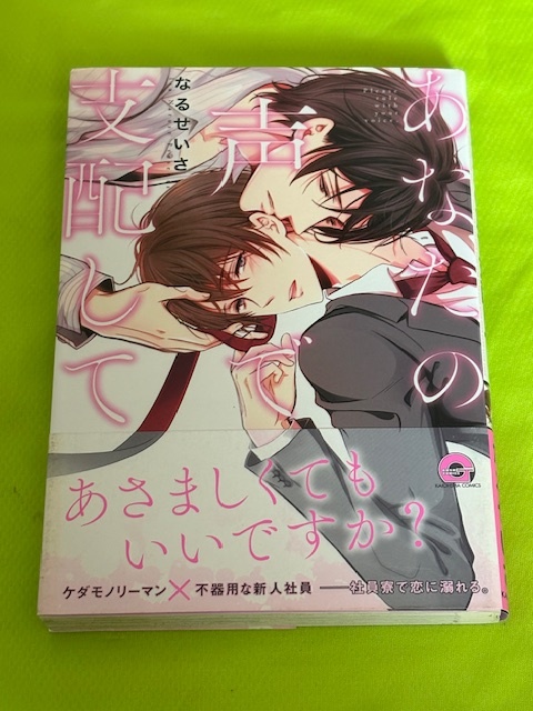 ★あなたの声で支配して★なるせいさ★送料112円拍卖
