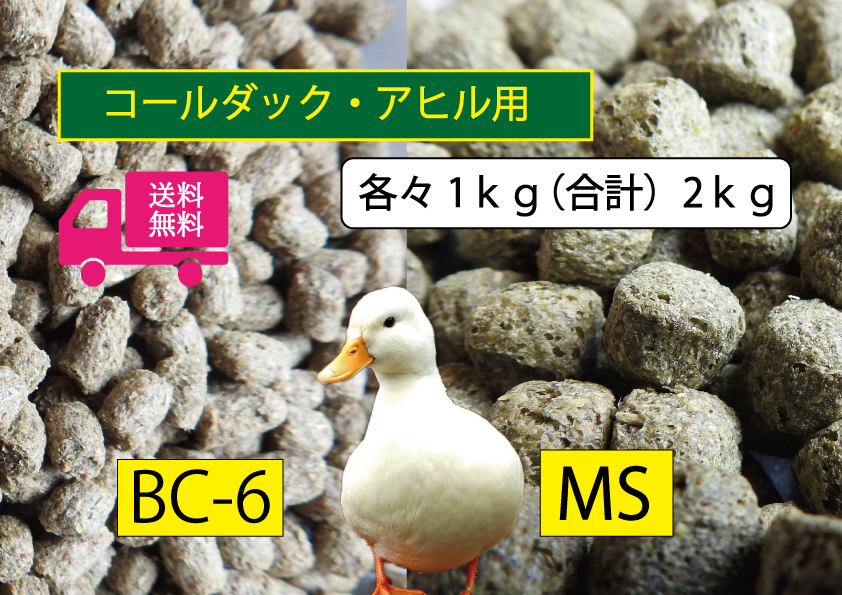 ★送料無料 【アヒル・コールダック用飼育飼料セット】BC-6 MS オリエンタル酵母 2種1kg×2袋(計2kg) 水禽・カモ用拍卖