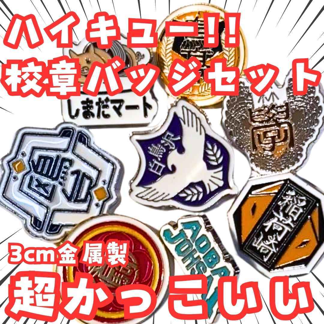 ハイキュー 校章 ピンバッジ バッジ セット グッズ 国内3cm【残5】拍卖