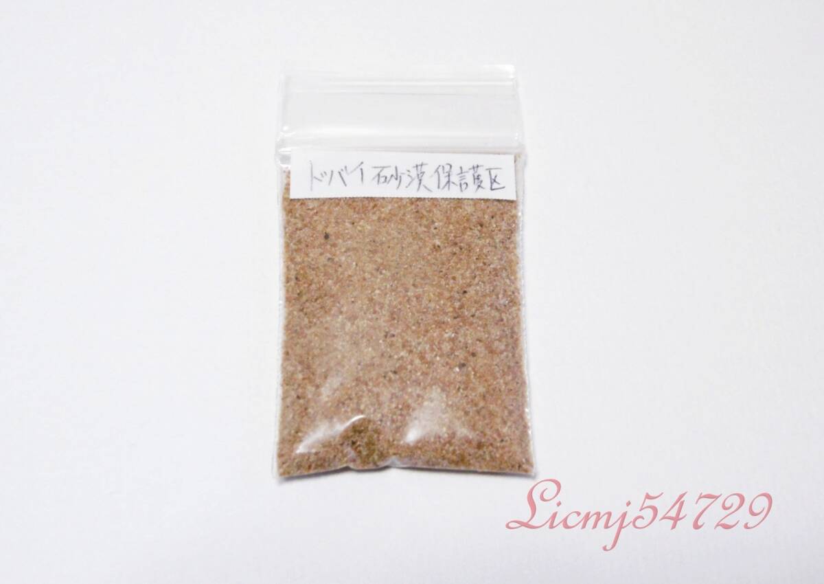 ドバイ砂漠保護区 砂丘の砂 Ⅲ拍卖