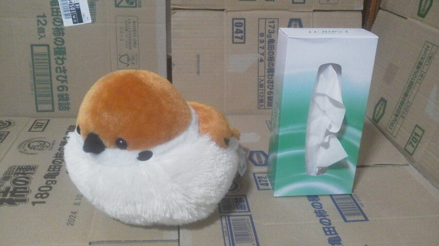 ふくらすずめとしまえなが おっきめぬいぐるみ JB 60サイズ 雀 鳥 もこもこ 送料450円 v709拍卖