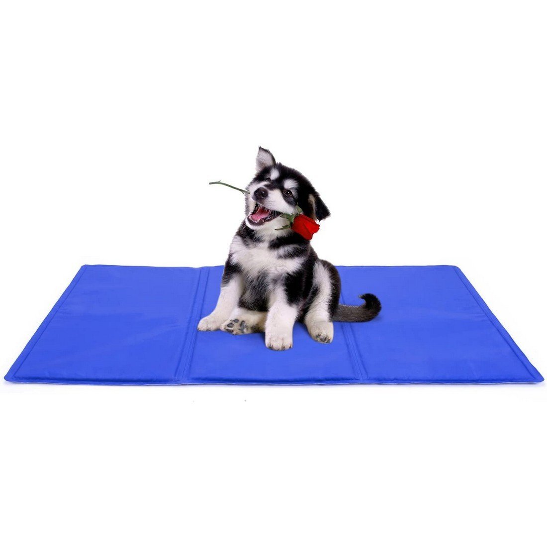 ペットひんやりマット 犬 猫 うさぎ クールマット ペット ひんやりシート 冷却マット 熱中症対策 冷感 ジェル マット 夏用 XLブルー拍卖