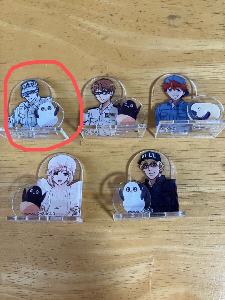 はたらく細胞 チョコエッグ ミニアクリルスタンド拍卖