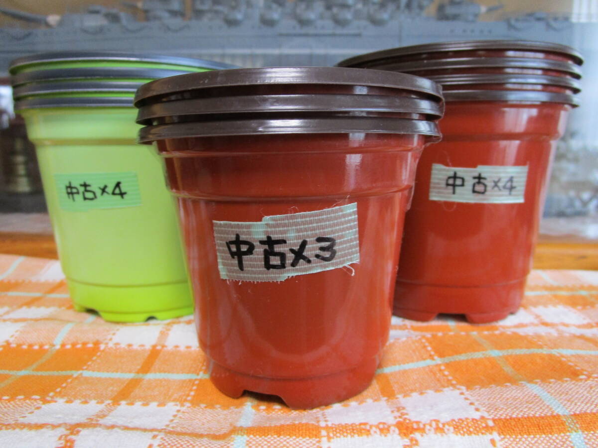 【中古・半端】【黄緑+茶/3.5&3号鉢混在】フラワーポット(ポリプロピレン樹脂製)/11個拍卖