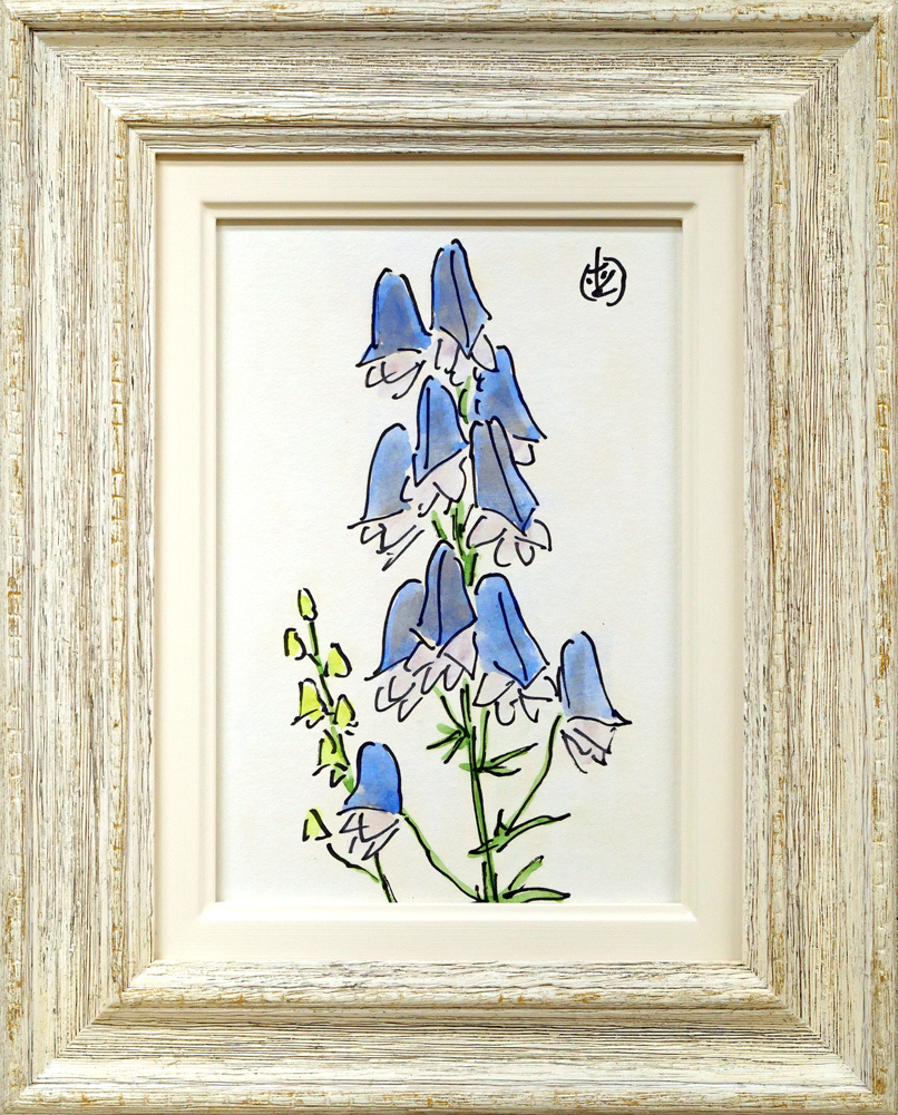 坂本 直行「えぞとりかぶと」水彩画・SM■六花亭包装紙■北大山岳部OB■坂本龍馬の甥の孫■中札内に美術館【小竹美術】真作保証拍卖