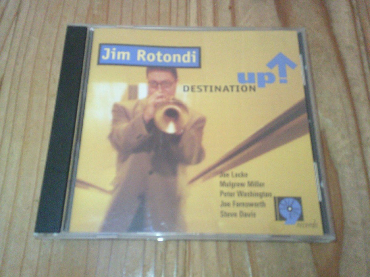 CD:JIM ROTONDI DESTINATION UP ジム・ロトンディ拍卖