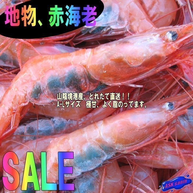 2箱、地物「赤海老(甘エビ)L-1kg」境港、自慢の逸品拍卖