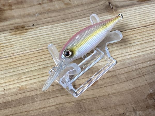 バンクシャッドMID エバーグリーン ピンク系カラー 箱91拍卖