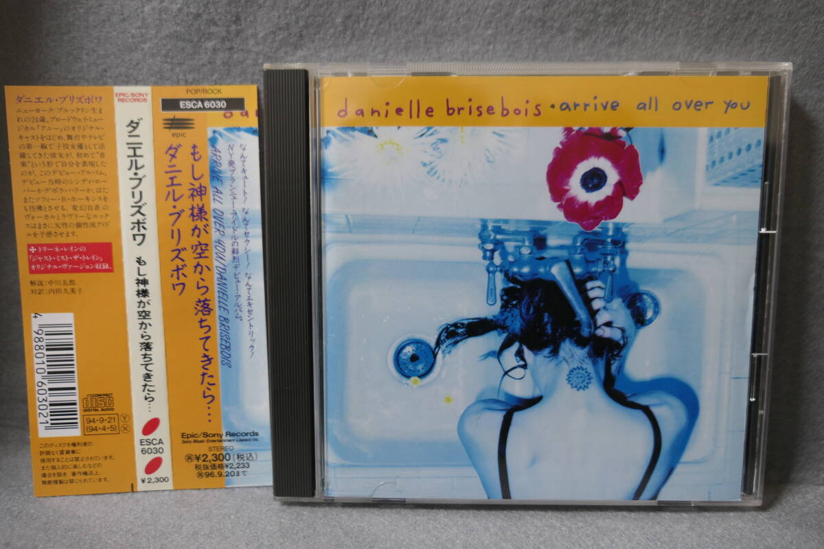 【中古CD】ダニエル・ブリズボワ Danielle Brisebois / もし神様が空から落ちてきたら… Arrive All Over You / ESCA 6030 / 4988010603021拍卖