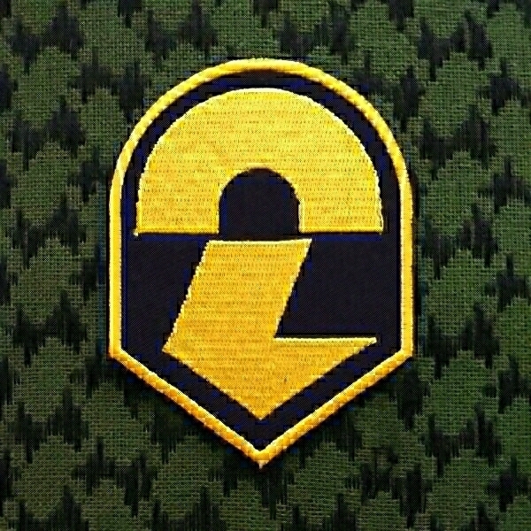 2 刺繍パッチ ワッペン ベルクロ仕様 サバゲー ワッペン ベルクロ サバゲー 拍卖