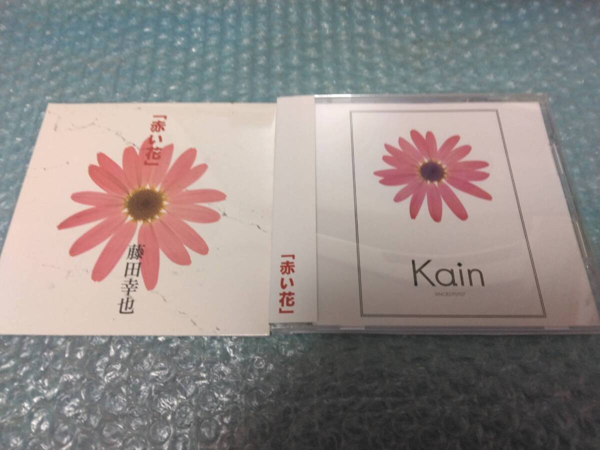 送料込即決 藤田幸也CD2枚セット「10th ANNIVERSARY VERSION/20th ANNIVERSARY VERSION」YUKIYA/Kain/JILS/kranze/D≒SIRE/拍卖