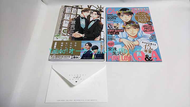 30歳まで童貞だと魔法使いになれるらしい 10巻 特装版 特別小冊子&結婚式招待状付き 豊田悠拍卖