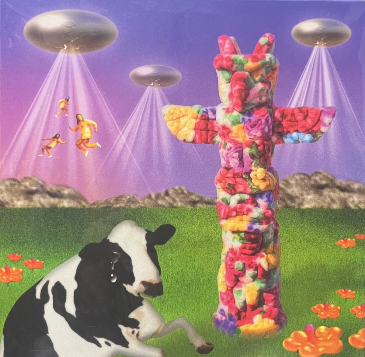 新品 LP PARKGOLF / Totem 検) おかもとえみ パソコン音楽クラブ imai SUSHIBOYS G.Rina kzm OMSB tofubeats Halfby Videotape Kvi Baba拍卖