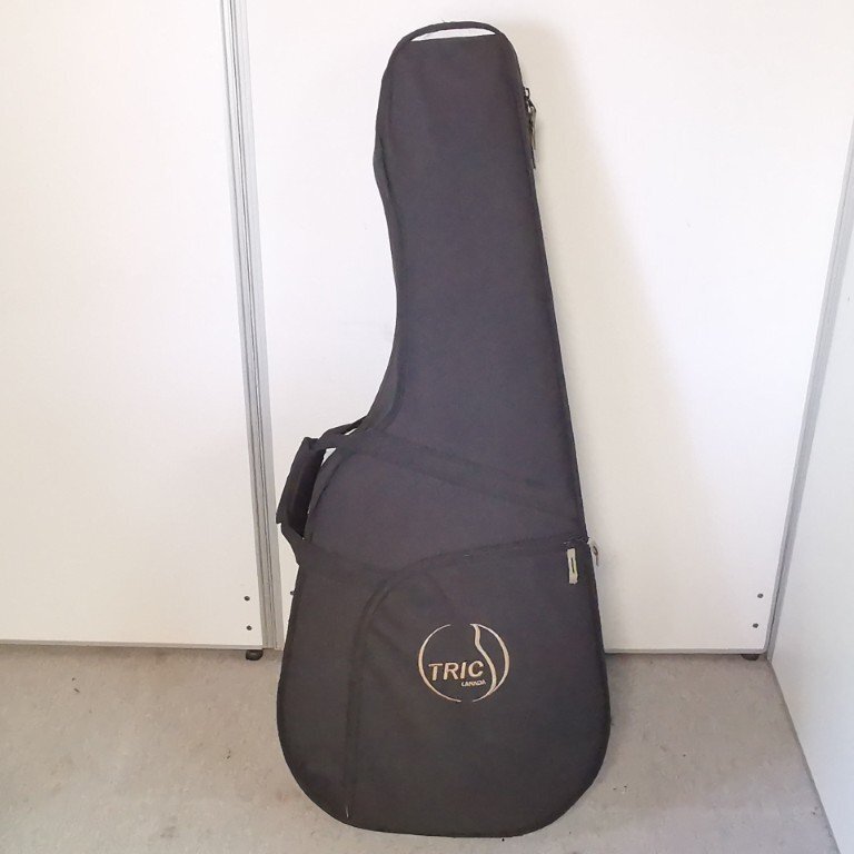 TRIC CANADA ギグバッグ ブラック ギターケース セミハードケース Z7955拍卖