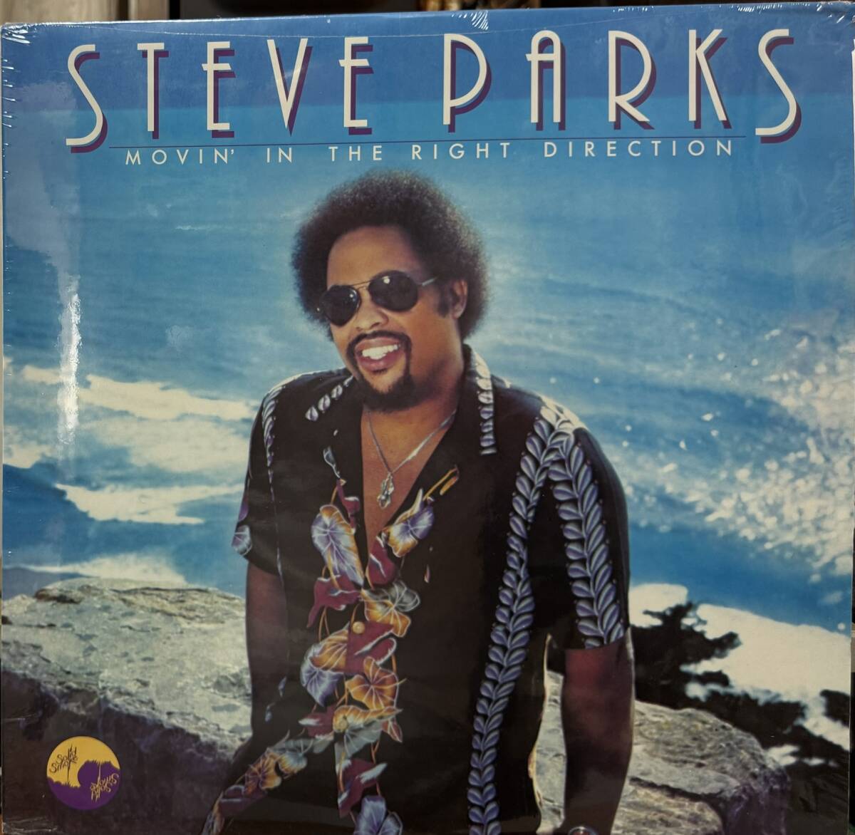 【廃盤新品LP】Steve Parks / Movin' In The Right Direction拍卖