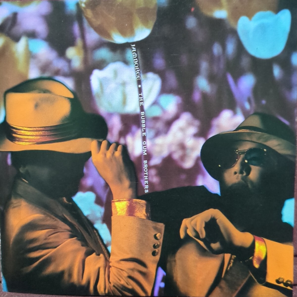 ■Z7■ バブルガムブラザーズ のアルバム「ジャンボリー」拍卖