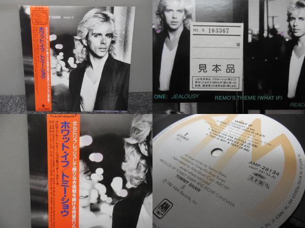 TOMY SHAW・トミー・ショウ / WHAT IF ( 帯あり・見本サンプル品 ) LP盤・AMP-28134拍卖