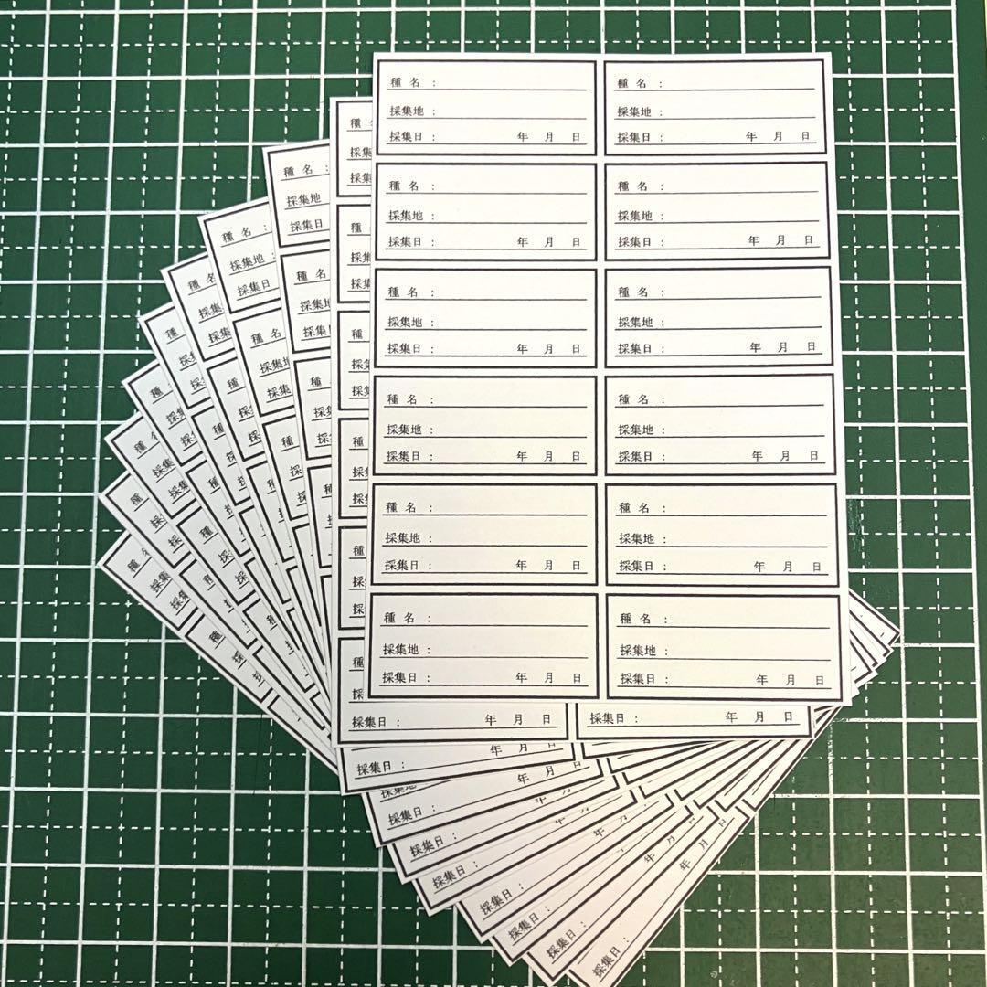 【標本道具】標本ラベル(厚紙) 12枚×10束拍卖