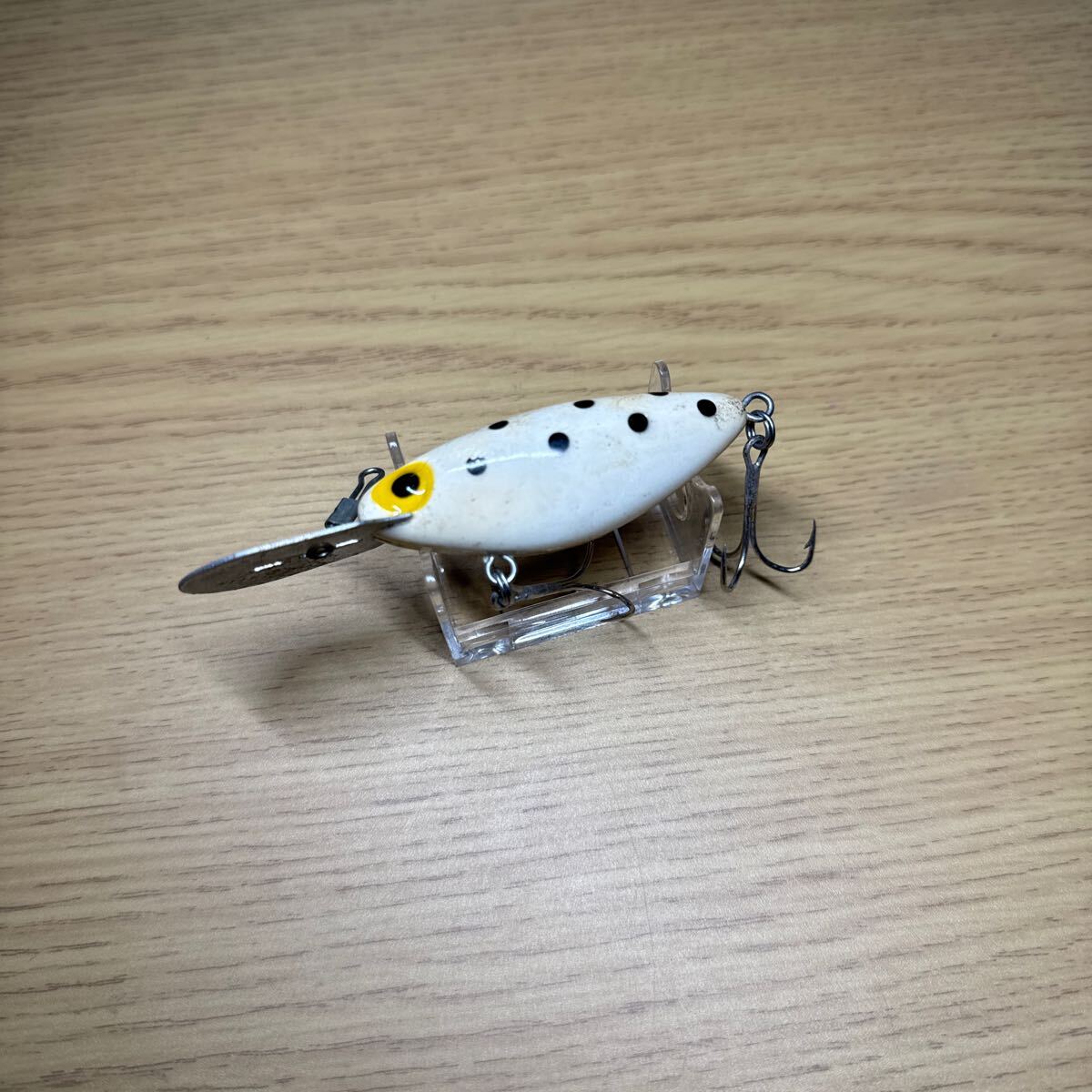 ストーム ホッテントット 約65mm(ID05410)拍卖