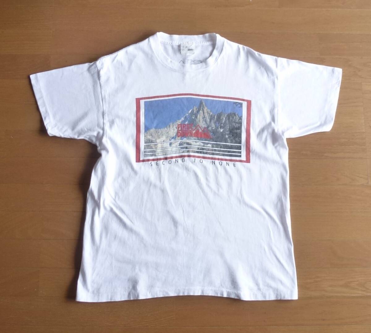 90's USA製 FIRSTDOWN ファーストダウン アウトドア Tシャツ フォトプリント XLサイズ相当 即決あり!拍卖