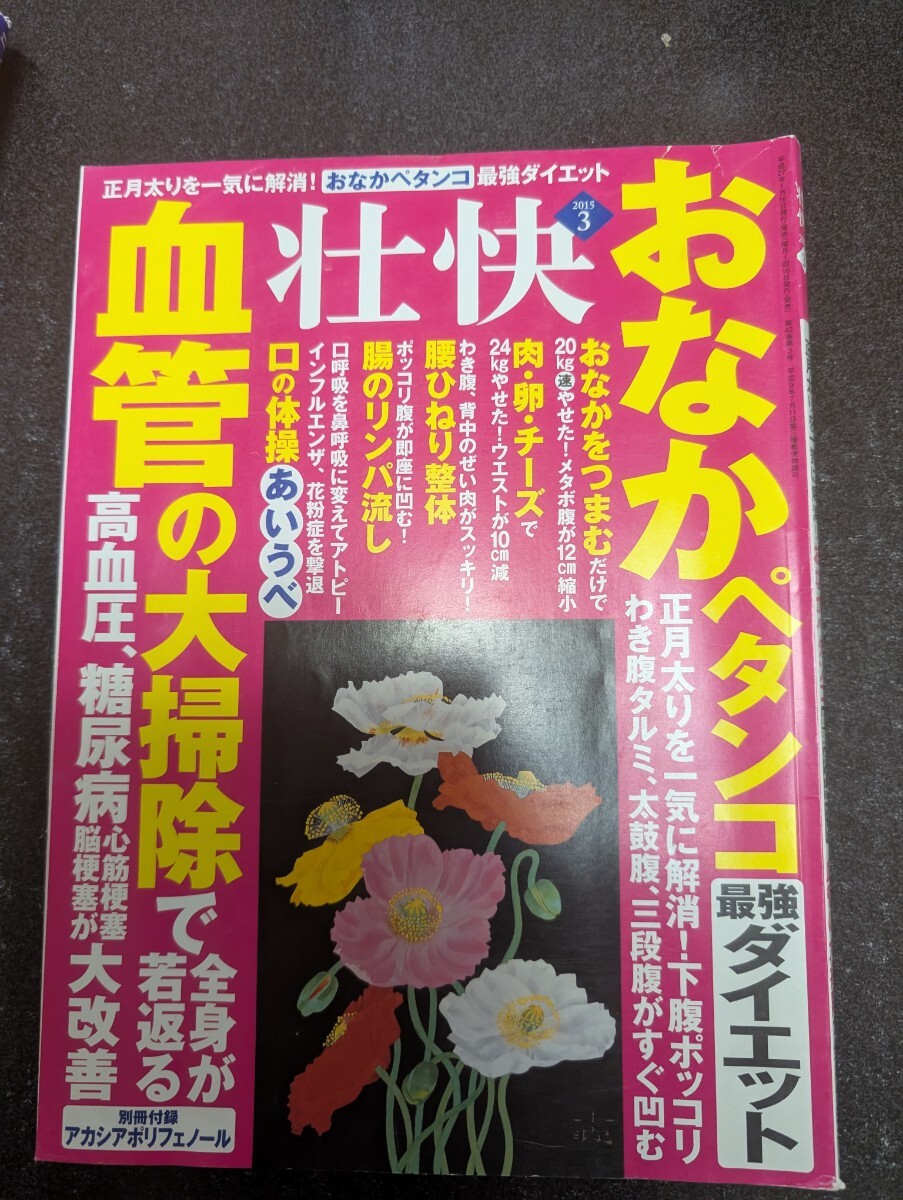 壮快 2015年 3月号★送料無料拍卖