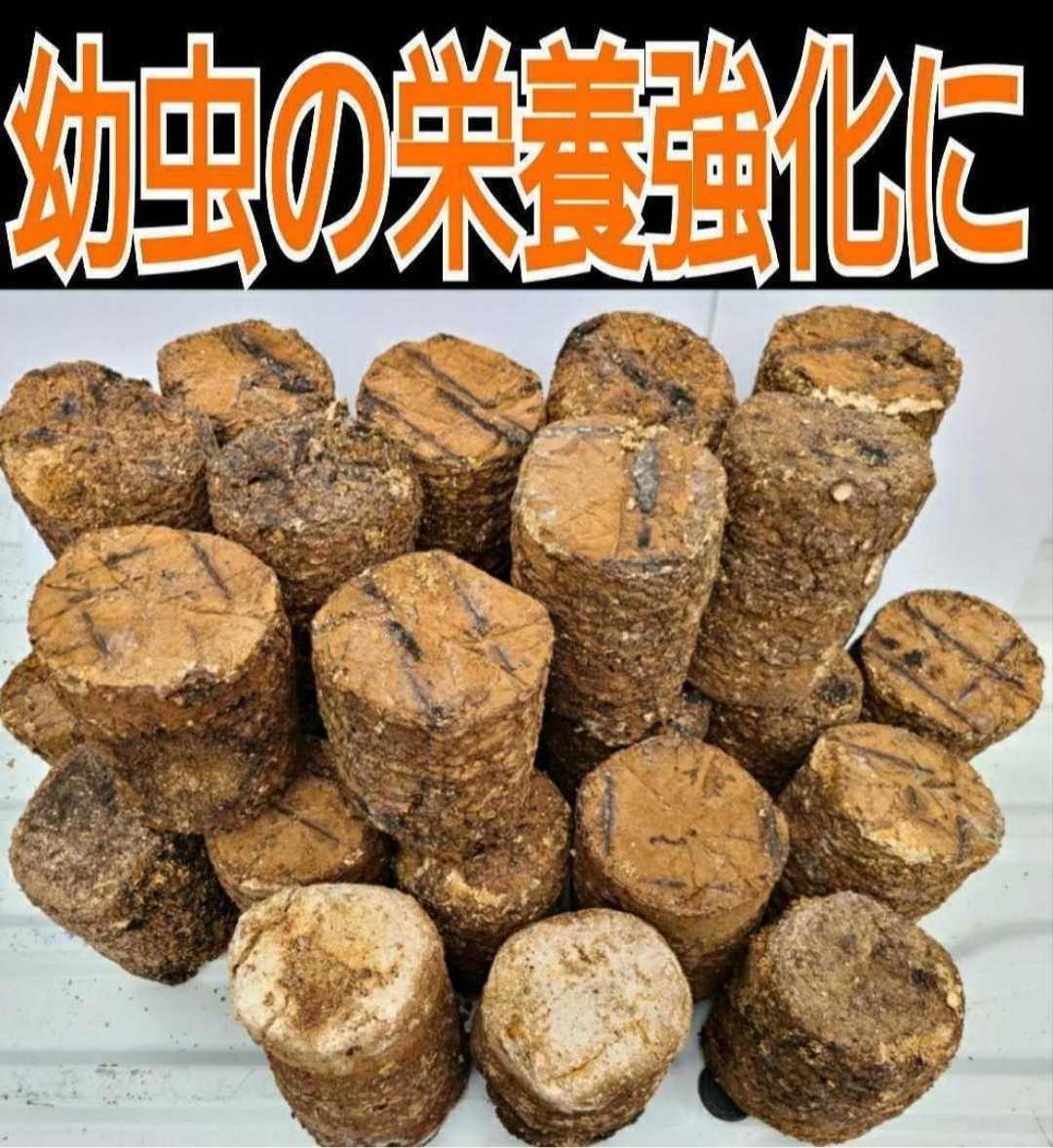 カブトムシ幼虫の栄養強化に!椎茸廃菌床【12ブロック】発酵マットに埋め込むと幼虫が潜り込みモリモリ食べて大きくなる!クヌギ100%原料拍卖