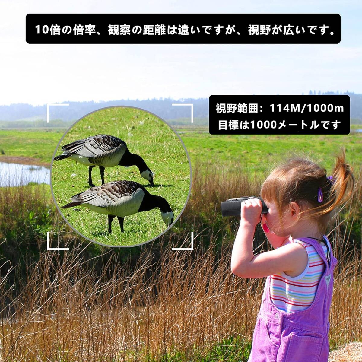 人気 高倍率10倍 双眼鏡 小型 軽量 Bak4搭載 遠足 旅行 観光 コンサー拍卖