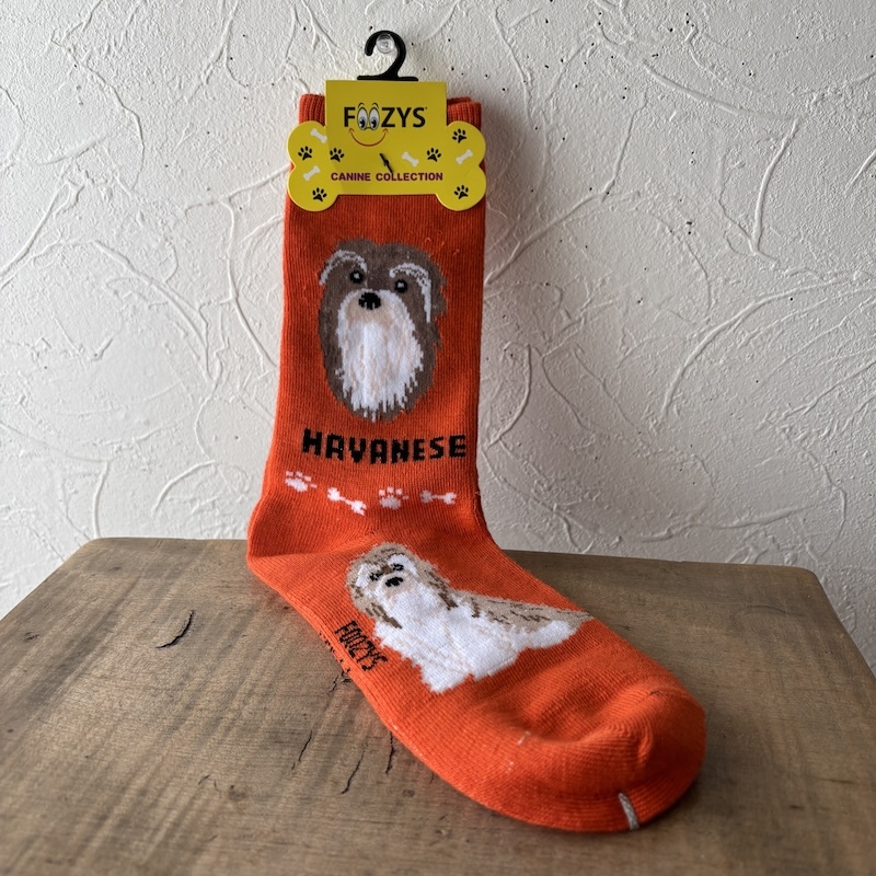 ハバニーズ・オレンジ・アメリカ直輸入・犬種別靴下・22-25cm Foozys拍卖