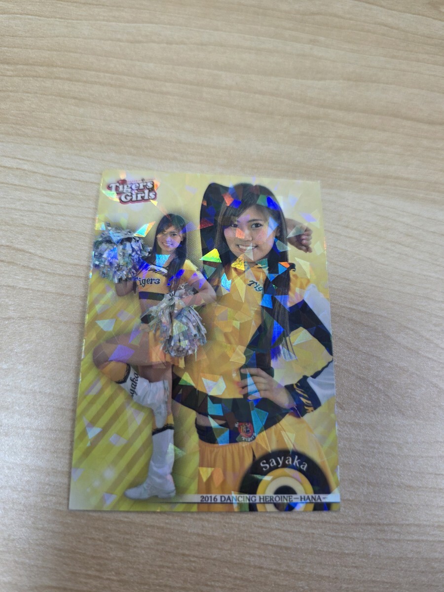 即決 2016BBM チアリーダー 華 ホロパラレルカード 阪神 Tigers Girl Sayaka拍卖