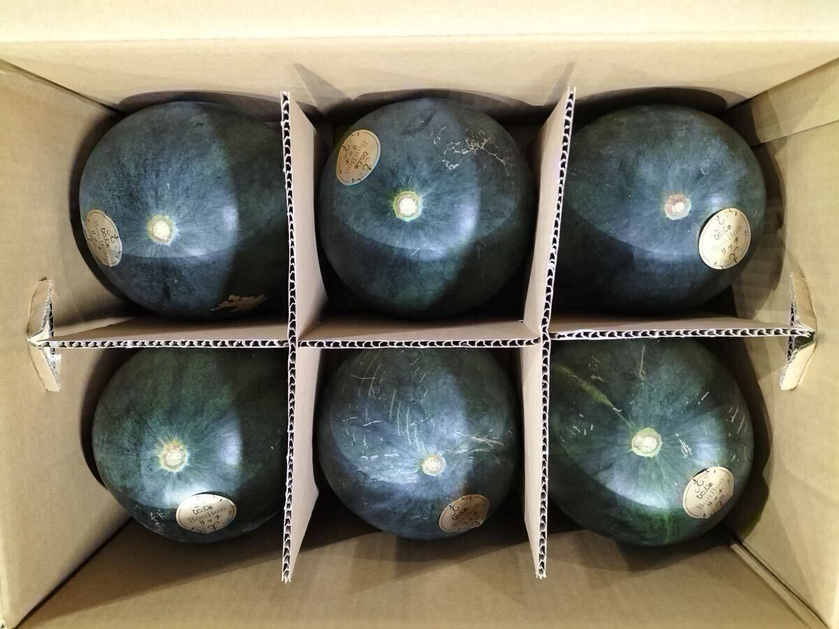 【送料無料1円スタート☆☆】今が旬☆熊本植木産 黒小玉スイカひとりじめBonBon(6~7玉入)拍卖