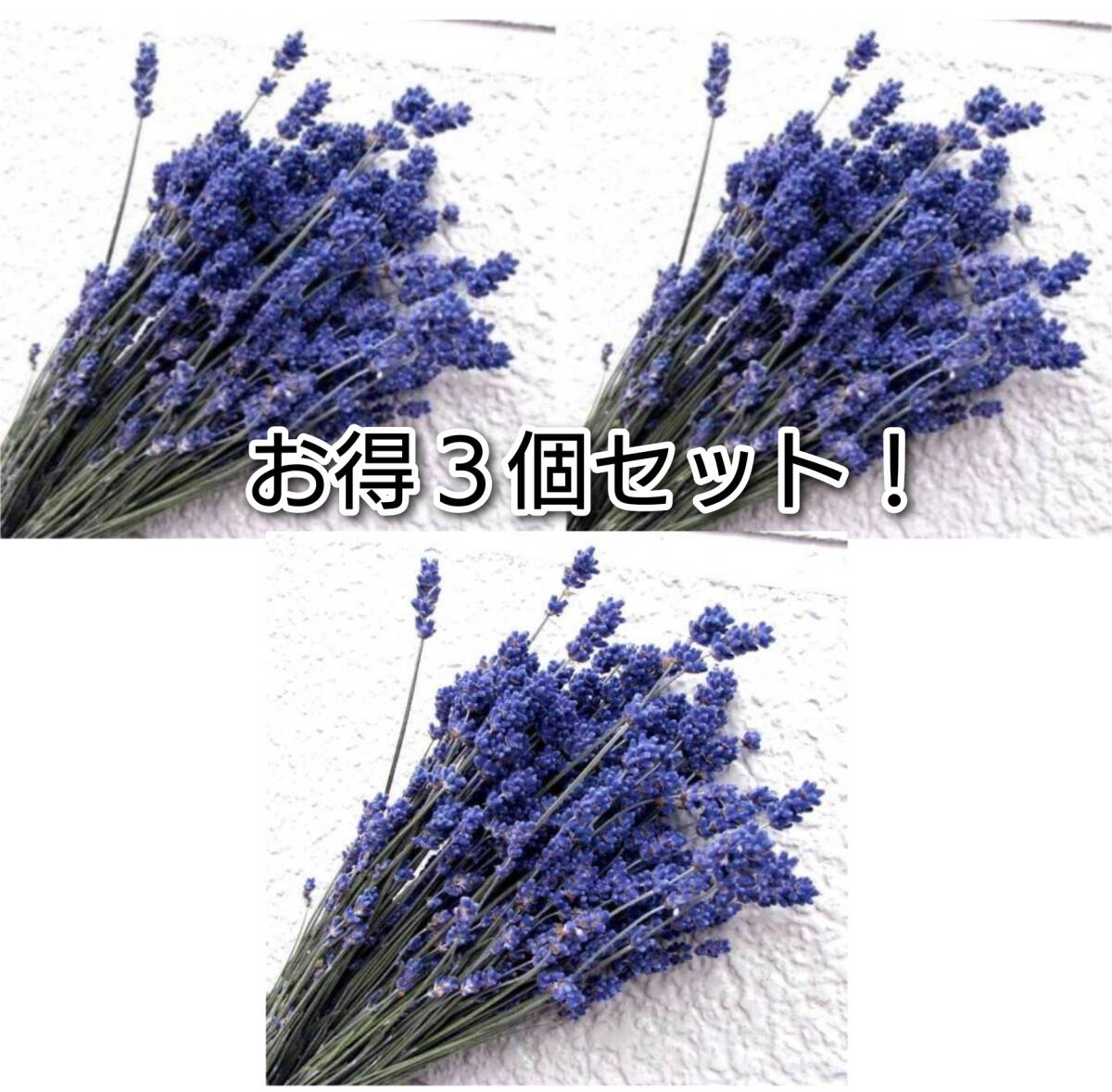 濃紫ラベンダー早咲 お得3個セット!送料無料・めぐみ工房 北海道ドライフラワー拍卖