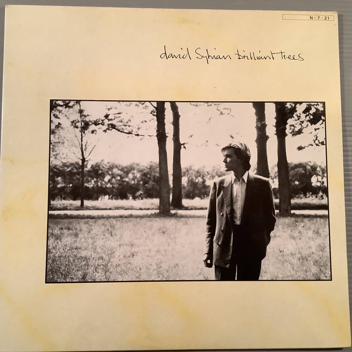 LP(日本盤)●デヴィッド・シルビアン/BRILLIANT TREES●美品!拍卖