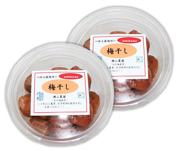 自然栽培 10年もの梅干し 500g(250gX2個)★無肥料・無農薬★無添加・無着色★一粒一粒手もぎして園主自らが長い年月漬け込みました拍卖