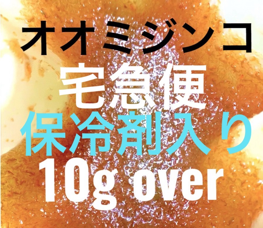 室内培養で安心 暑さ対策 オオミジンコ 10g以上 プラス増量 生き餌 産卵促進 メダカ 金魚 熱帯魚 稚魚 栄養食拍卖