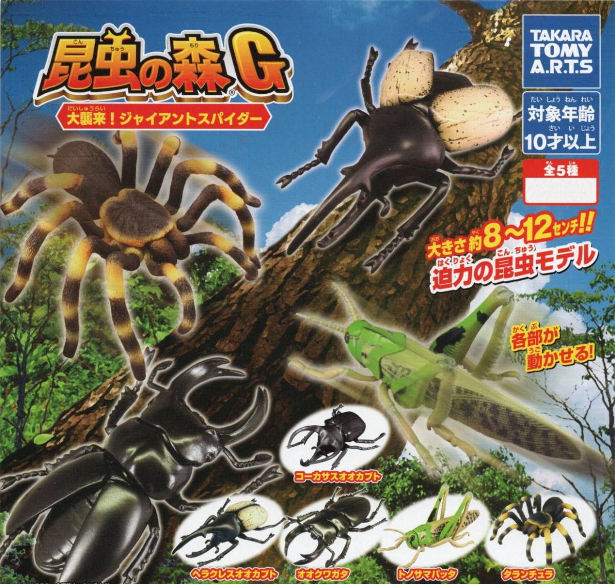 ♯ (台紙のみ) ガチャ 昆虫の森G 大襲来!ジャイアントスパイダー (台紙/POP) 非売品拍卖