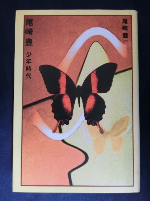 尾崎豊 尾崎豊 少年時代 尾崎健一 ハードカバー拍卖