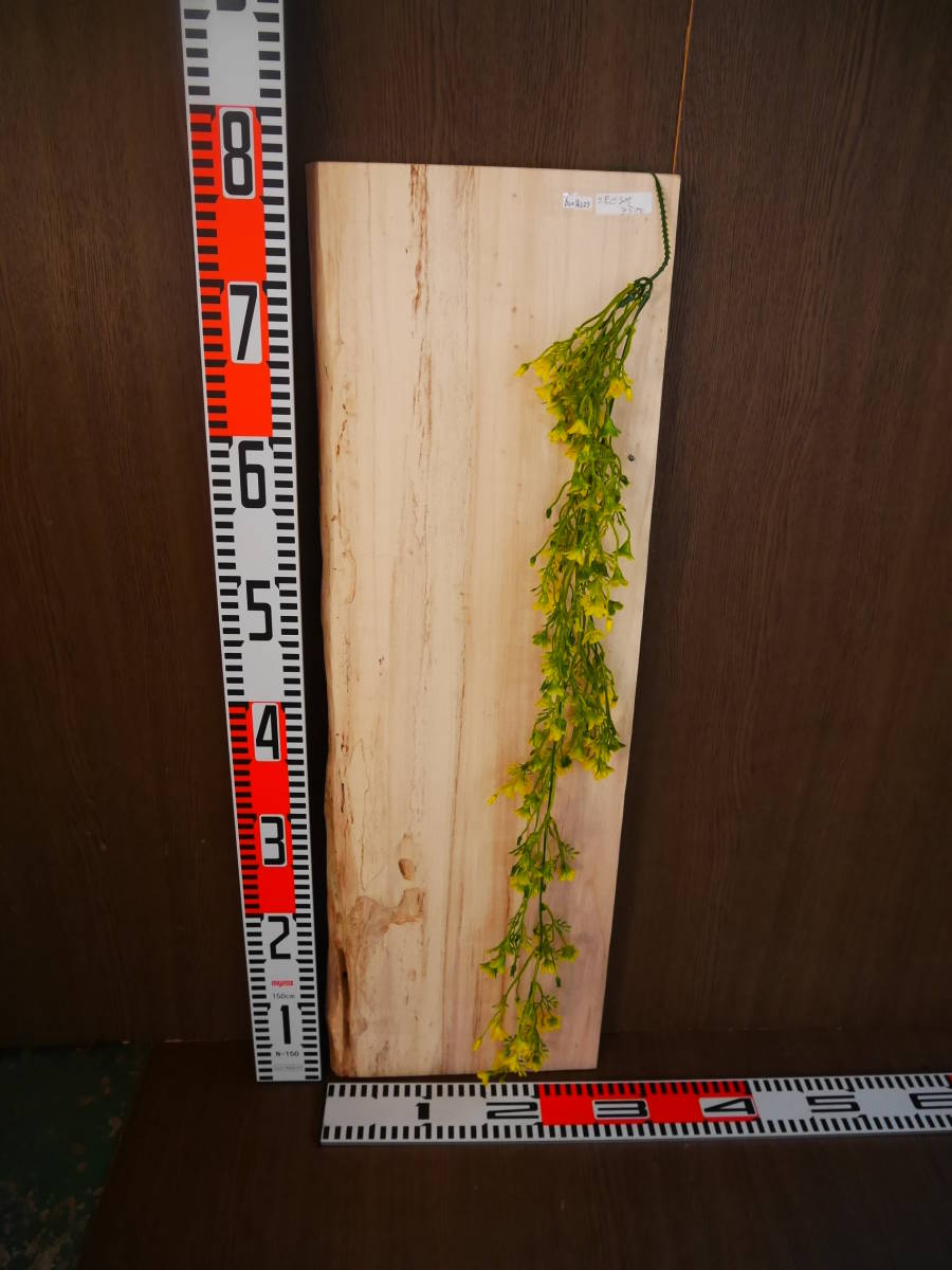 b0070227●約厚2cm 沢ぐるみ●ウォルナット☆無垢板1枚板 木材 板 DIY 板材 天板 棚板 テーブル 看板 花台など種類豊富!拍卖