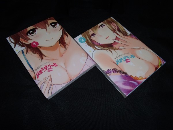 純愛とろとりっぷ 1・2巻 全巻 セット 初版です。小鳩ねねこ 少年画報社拍卖