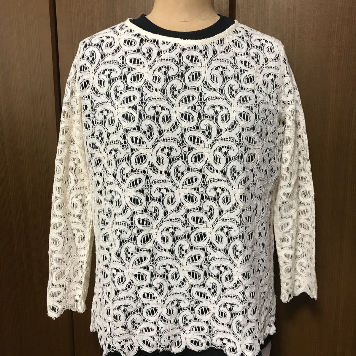 未使用 美品 レディース 総レース オーバーブラウス フリーサイズ拍卖