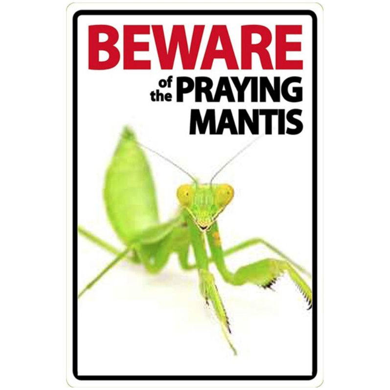 A540 メタル サイン ブリキ 看板 金属製 プレート レトロ アート パネル おもしろ 警告 注意 動物 ペット 虫 カマキリ M拍卖