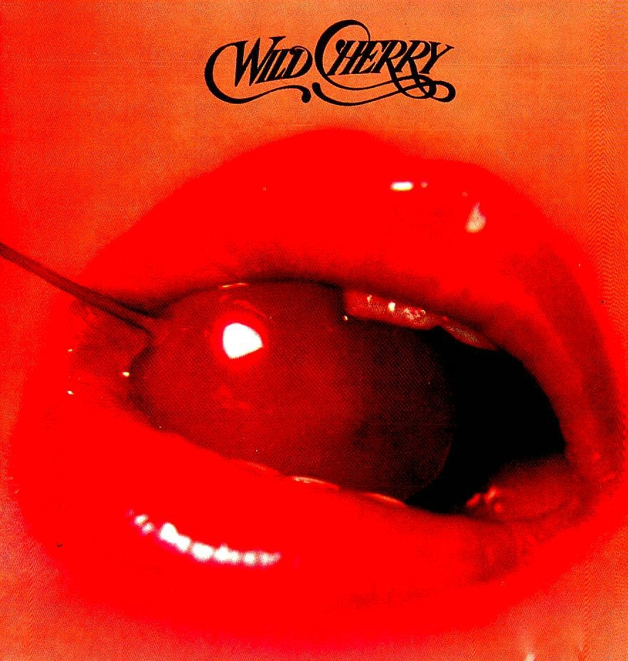 ☆ワイルド・チェリー/Wild Cherry 輸入盤中古CD Play That Funky Music拍卖