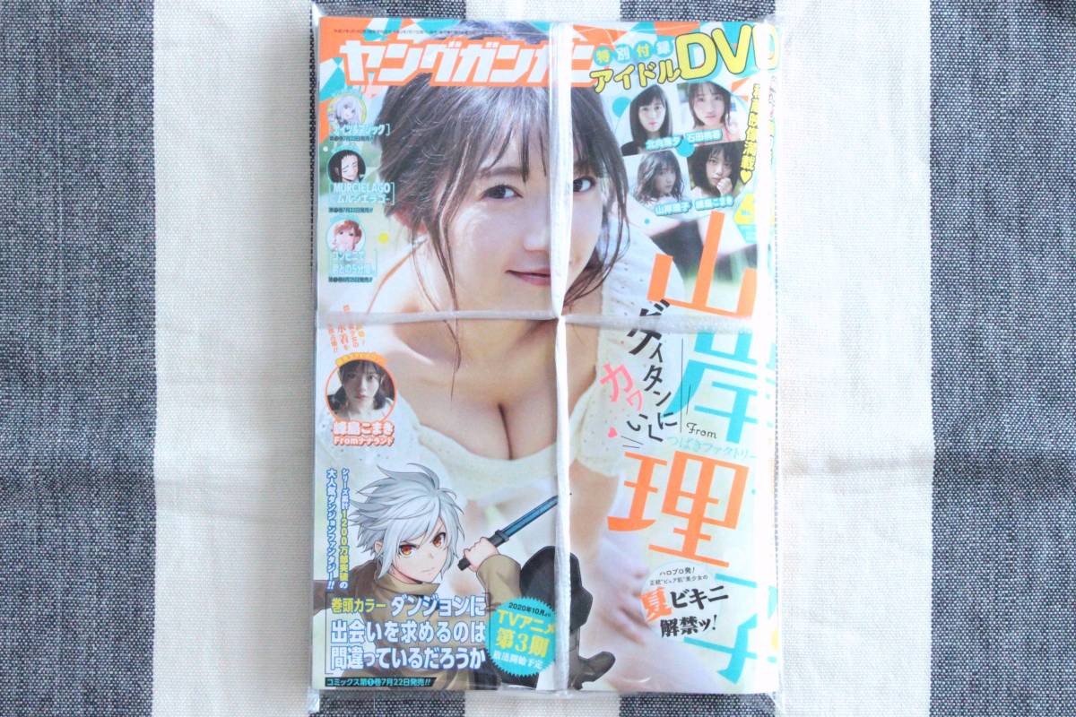 ヤングガンガン 山岸理子 石田桃香 北向珠夕 峰島こまき 2020.08.07 no.15/新品 未開封 未読品 アイドルDVD付き拍卖